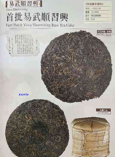 大益2004年易武早春茶，品鉴2004年大益易武早春茶：独特的口感与历韵味