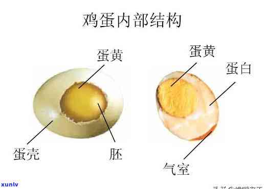 鸟蛋黄色：蛋黄白色是否代表受精？ 黄色鸟蛋属于哪种鸟类？ 蛋黄有黑点是怎么回事？