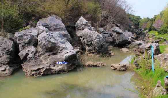 黑水晶石头，神秘的黑水晶石头：探索其神秘力量与美丽