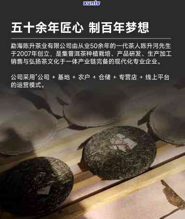 勐海木七子饼茶400克价格，【陈升号】2023年春茶 勐海木古树纯料七子饼茶400克 特级礼品茶 新茶 正宗普洱茶生茶 整筒价