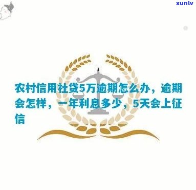 农村信用社十五万逾期-农村信用社十五万逾期怎么办