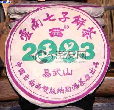 大益2003正品易武山，品味经典：大益2003正品易武山普洱茶鉴