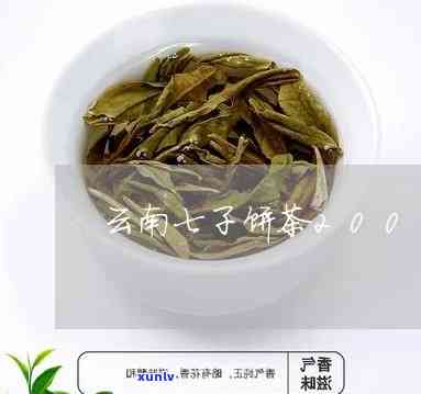 易武山七子饼茶价格多少？最新市场行情及2003年云南易武七子饼茶价格解析