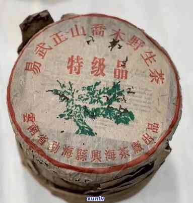 2003年易武正山绿大树特级品，探索历韵味：2003年易武正山绿大树特级品的品尝与鉴