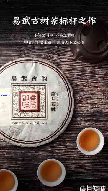 昔归和易武茶哪个贵-昔归和易武茶区别