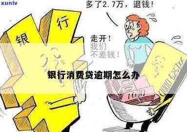 精美翡翠吊坠，花式设计增添艺术韵味：品味非凡还是实用至上？