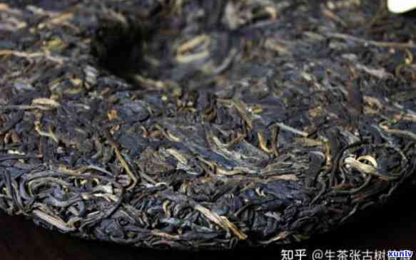 易武最出名的茶：种类、产地与推荐茶馆全解析