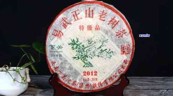 下关易武正山老树茶2012价格，2012年下关易武正山老树茶的价格分析与市场趋势