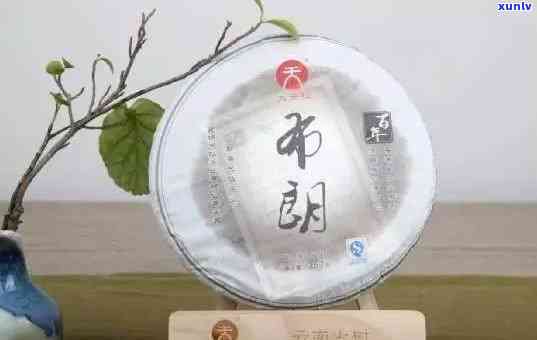 岁月知味易武生态饼：2013年古韵价格、易德评测及普洱茶价，探索易武岁月韵味