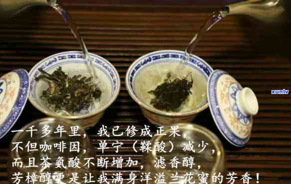 易武弯茶特点：古树茶价格、口感、历及辨别 *** 全解析