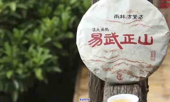 易武正山属于什么茶种类，探秘茶叶世界：易武正山的茶种归属