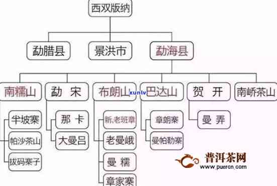 易武片区茶叶特点：历悠久、口感醇厚、香气独特