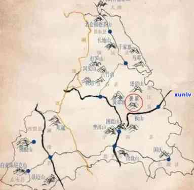 易武凤凰窝普洱茶：特点、价格、口感与历背景全解析