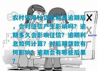 老班章排名前十盘点，更优选择及价格解析