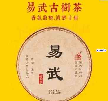 易武古树茶功效，探秘易武古树茶：揭示其神奇的功效和价值