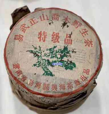 易武正山口野生茶 易武正山木野生茶2003珍藏品，2003年珍藏易武正山木野生茶，口感
