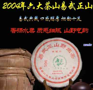 中茶易武正山野生茶珍藏2004，探索古老茶文化的珍品：中茶易武正山野生茶2004年份特藏