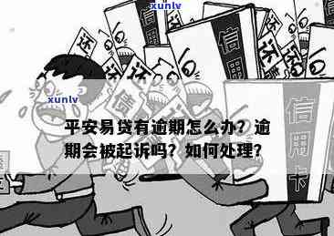 平安易贷逾期后是不是会被起诉？作用及应对措