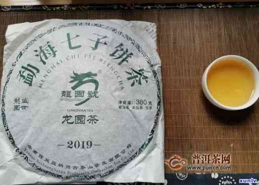 龙园号勐海七子饼茶，品尝云南特色：龙园号勐海七子饼茶