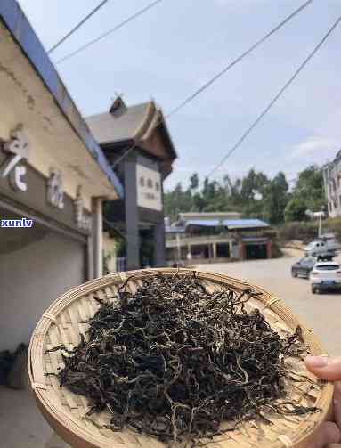 易武古树晒红茶，品味古韵，领略茶香：探索易武古树晒红茶的魅力