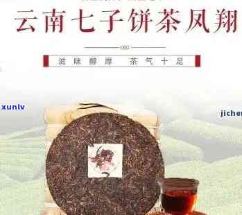 云南古茶七子饼茶，《品味云南：探索古茶七子饼茶的历与文化》