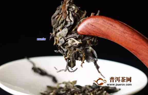 云南七子饼茶：喝法、冲泡与功效全解析