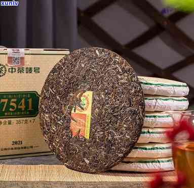 中茶云南七子饼茶7541，品鉴中茶云南七子饼茶7541，感受独特的普洱魅力