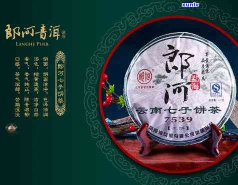 云南七子饼茶布朗古韵：布朗山、郎河、古树茶经典1729全收录价格