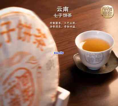 云南七子饼茶断尾七-云南七子饼茶古树茶