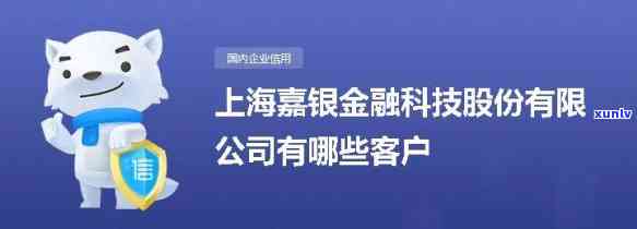 上海嘉银金融科技股份官网，探索金融科技新元：上海嘉银金融科技股份官网