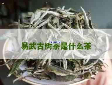 易武古树茶有哪几种-易武古树茶有哪几种茶