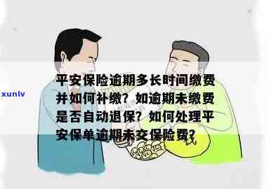 平安保险缴费逾期是不是就自动退保了，平安保险缴费逾期会自动退保吗？