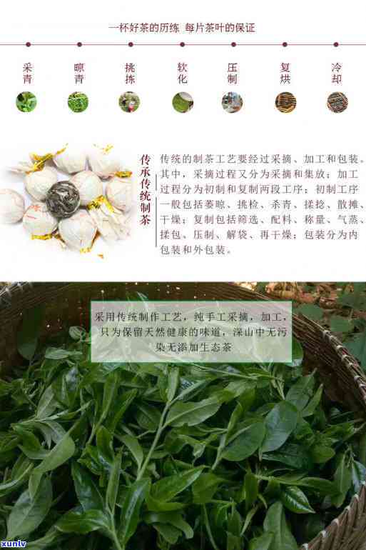 古树龙珠茶叶的功效-古树龙珠茶叶的功效与作用