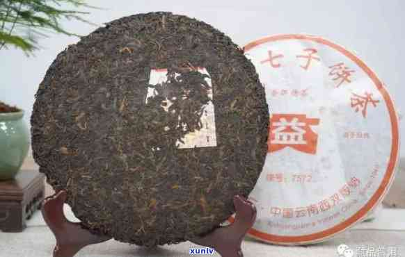 大益七子饼茶味最酽2011熟茶：0782、0622、7432、7452价格与0562的区别