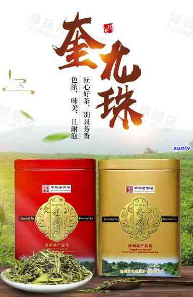 扬州魁龙珠茶叶价格-扬州魁龙珠茶叶价格表