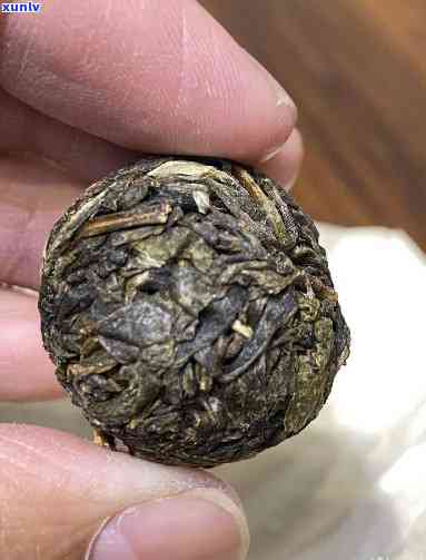 龙珠是生茶还是熟茶-冰岛龙珠是生茶还是熟茶