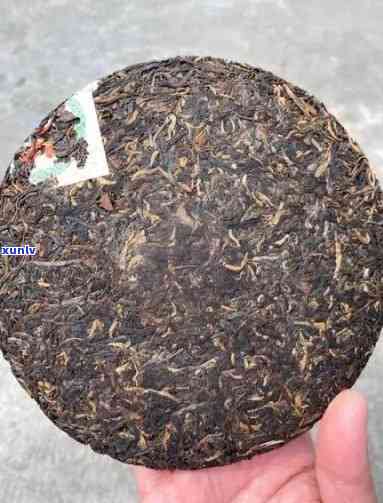 勐海古茶七子饼多少钱，了解勐海古茶七子饼的价格，从这里开始！