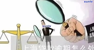 上海点融逾期无人管理？真相何在？