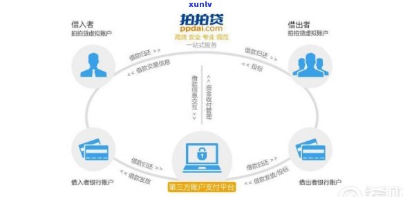 上海点融贷款公司怎么样，深度解析：上海点融贷款公司的业务模式、风控体系及客户口碑