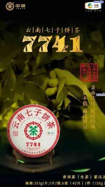 勐海宝和祥七子饼茶2012多少钱一盒，勐海宝和祥七子饼茶2012市场价格查询