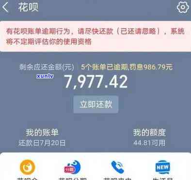 上海花呗逾期1万2万怎么办？逾期一年多可能被起诉，罚息及结果严重！