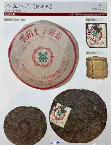 2006年份云南勐海祥瑞昌[茶]普洱熟饼茶(编号7572) Puer [Ripe