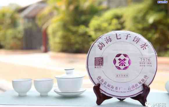 勐海七子饼茶7576福海，探寻福海韵味：品味勐海七子饼茶7576的醇厚口感