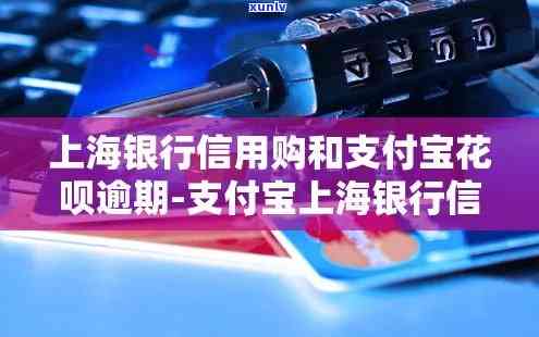 支付宝上海信用购逾期-支付宝上海信用购逾期一天上吗有影响吗