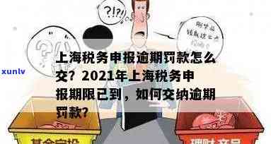 上海个税逾期缴费时间规定，了解上海个税逾期缴费规定，避免罚款风险