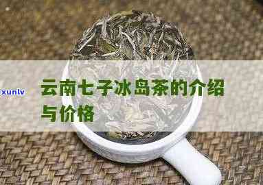 云南七子冰岛茶的介绍，探秘云南七子冰岛茶：世界顶级普洱茶的独特魅力