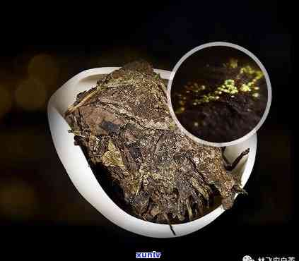 七子饼茶007，探寻茶叶之谜：揭开七子饼茶007的神秘面纱