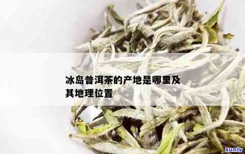 冰岛茶位置，揭秘冰岛茶的神秘地理位置