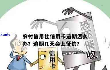 农村信用社民卡逾期怎么办，农村信用社民卡逾期解决  全攻略