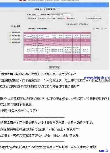 中国人民银行逾期报告查询系统：官方渠道，全面了解逾期贷款情况